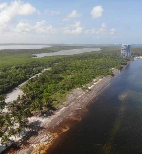 created by dji camera