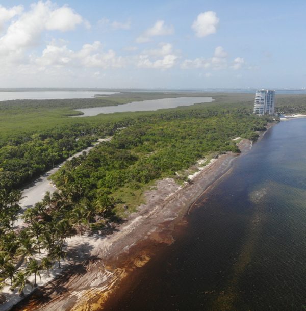 created by dji camera