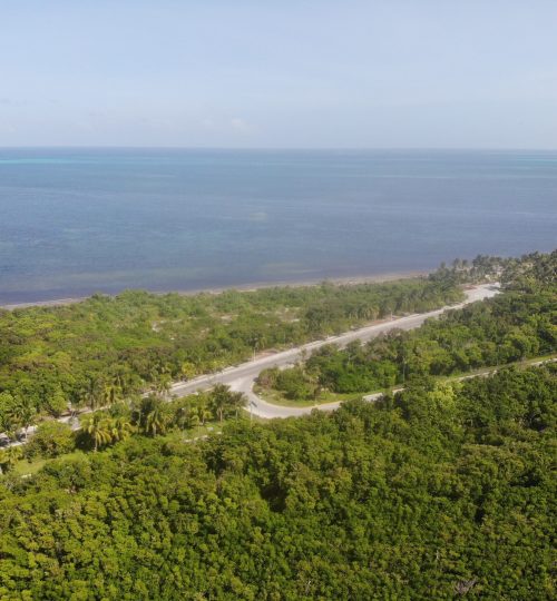 created by dji camera