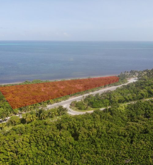 created by dji camera