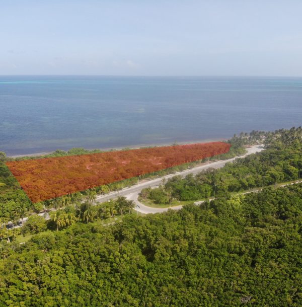 created by dji camera