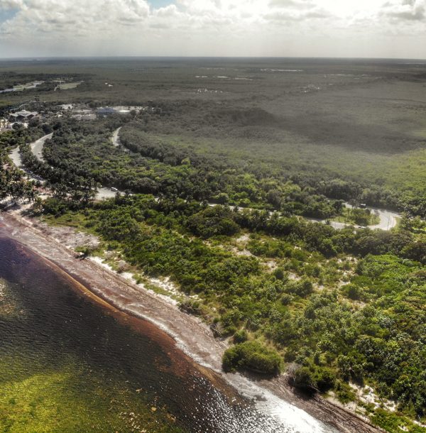 created by dji camera